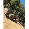 2007 John Deere 648H Skidder